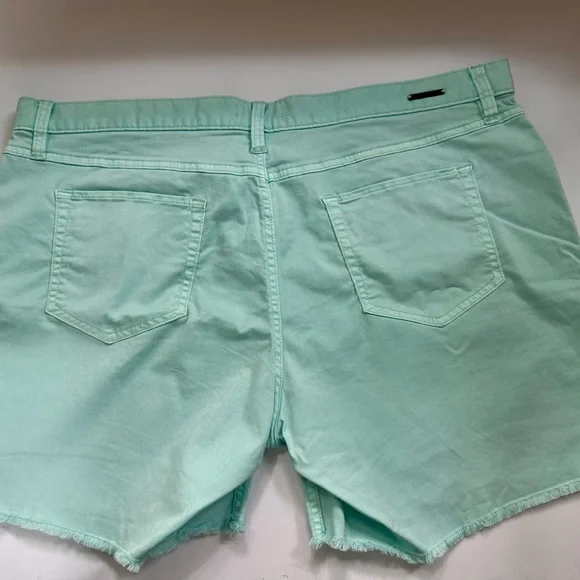 Carve Designs 6” Twill Shorts -Sea Glass - Picture 4 of 8